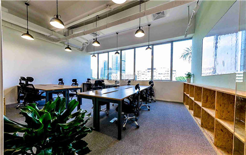 �칫������������Щע�������