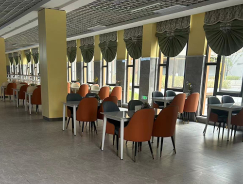 ��˳ѧУ����